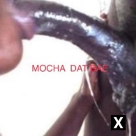 Mocha Escort in Palm Bay