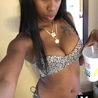 Mocha Escort in Phoenix