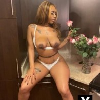 Ari Escort in Kissimmee