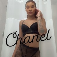 chanelbeenher Escort in Ann Arbor