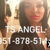 Ts Angel Escort in Phoenix