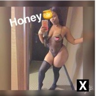 Honey Escort in Colorado Springs