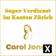 Exklusiver Club – Viel Geld - Garantierter Superverdienst im Kanton Zürich Zurich