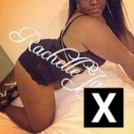 Rachelle Escort in Houston