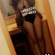 Leila Escort in Chicago