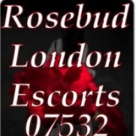 Rosebud London Escorts Escort in London