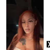 DOM Reddd Huntsville