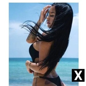 ANNA, Fleet escorts