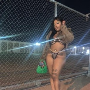 STAR, Irving escorts