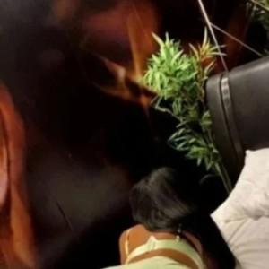 Deplasări La Tine Sau La Hotel ! Atât! 0792057192, București escorts