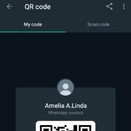 Amelia, Seneca Falls escorts