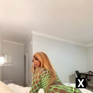 Cuban mami, San Diego escorts