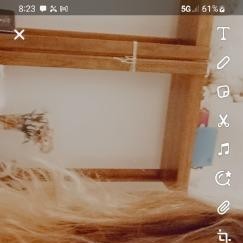 sNOwBUnNy, Plantation escorts