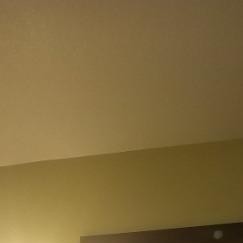 love, Wynne escorts
