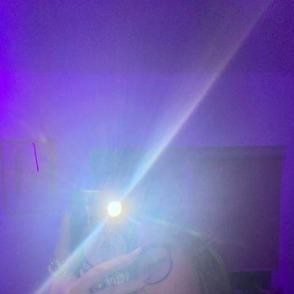 Daisymoses, Barbourville escorts