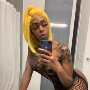Iiyaa, Fairport escorts