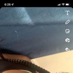 Bluey, Bridgeville escorts