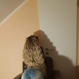Sisi, Krefeld escorts