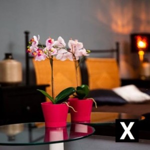 SOFORT GARANTIERT VERDIENST, Zurich escorts