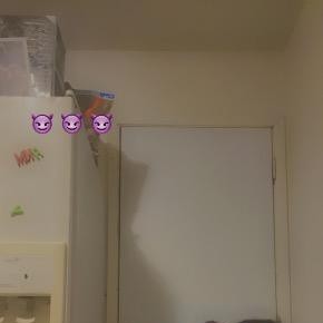 Promise, Rice escorts
