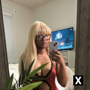 Akita, Brentwood escorts