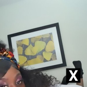 Jazmine, Arlington VA escorts