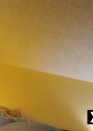Huntsville | Escort Allie Marie-36-284470-photo-4