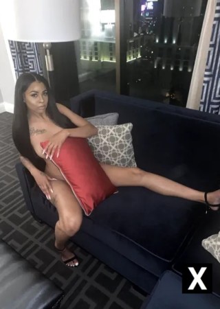 Irmo | Escort Carmen Waters-26-273975-photo-1