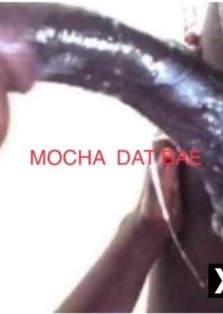 Palm Bay | Escort Mocha-28-184508-photo-1