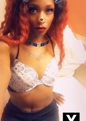 Carson City | Escort NovaCaine Chocolate-27-185607-photo-8