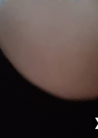 Indianapolis | Escort Sexy Sky-38-284714-photo-18