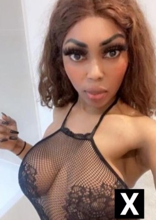 High Wycombe | Escort Ocean-23-265909-photo-3