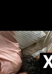 Palm Bay | Escort Black queen-23-282879-photo-3