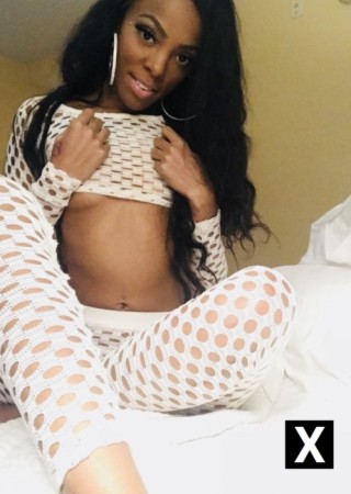 Dallas | Escort Sweet-24-142255-photo-1