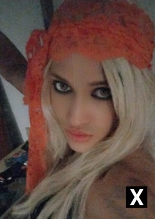 Greensboro | Escort Kitten-35-277400-photo-5