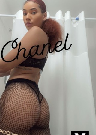 Ann Arbor | Escort chanelbeenher-24-190364-photo-2