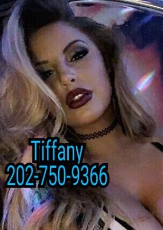 Jacksonville FL | Escort Ts Queen Tiffany-23-118748-photo-1