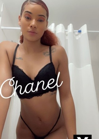 Ann Arbor | Escort chanelbeenher-24-190364-photo-5