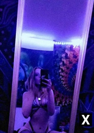 Lamar | Escort Xan-19-248314-photo-2