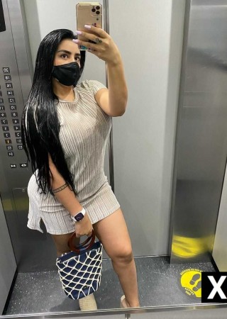 New Haven | Escort Escort-27-188704-photo-2