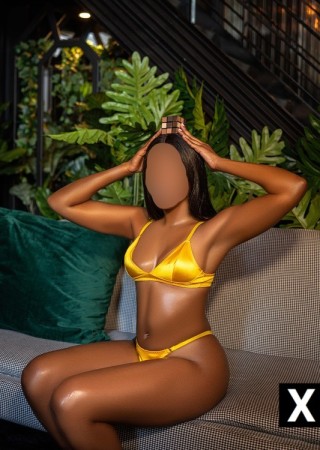 Harrisburg | Escort Danica-27-199515-photo-2