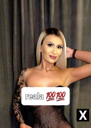 Oradea | Escort Alina Noua In Oradea // Disponibila /-0-228109-photo-4