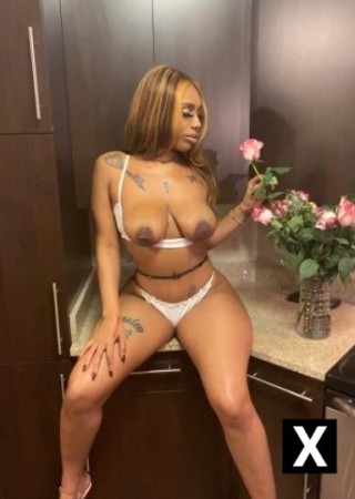 Kissimmee | Escort Ari-23-183197-photo-1