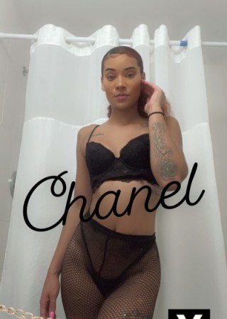 Ann Arbor | Escort chanelbeenher-24-190364-photo-1