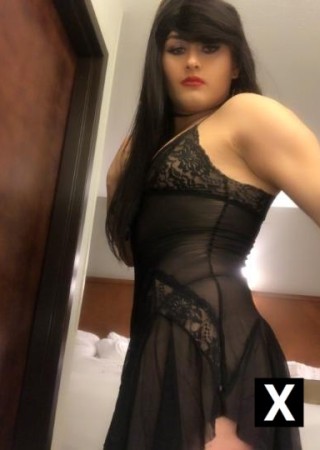 Fort Myers | Escort TS Girl-27-182884-photo-1