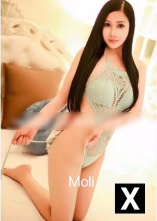 Bergisch Gladbach | Escort Moli-30-199659-photo-1