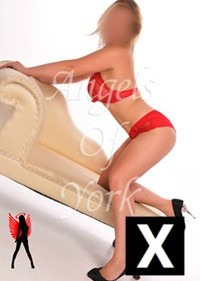 York | Escort Amelia-22-38320-photo-5