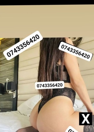 Sibiu | Escort Buna Nouă în Oraș 0743356420-0-229259-photo-1