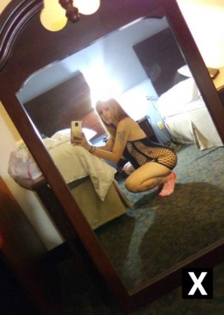 Winston Salem | Escort Queenbee-26-180391-photo-2