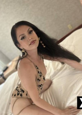 Hollywood CA | Escort Star-25-285700-photo-4